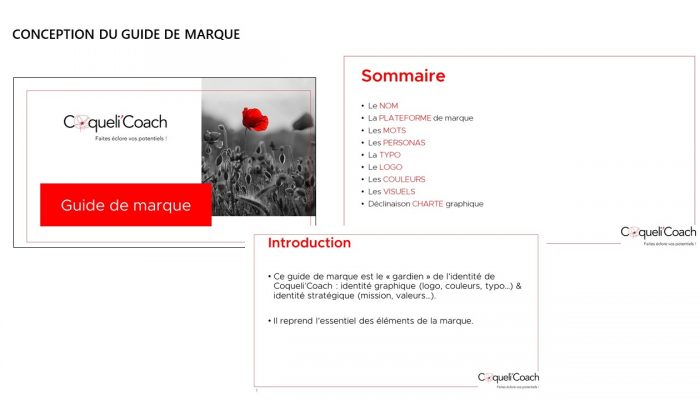 Guide de marque CoqueliCoach par latelier3C
